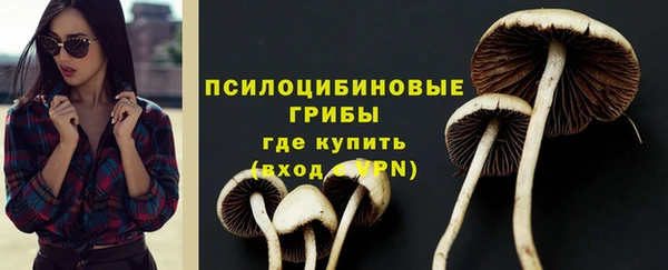 a pvp Алексеевка