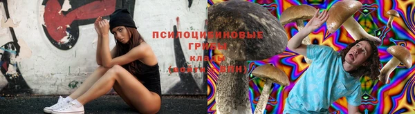 синтетический гашиш Алексин