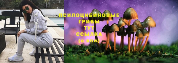 a pvp Алексеевка