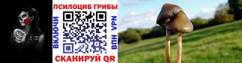 Галлюциногенные грибы прущие грибы Топки